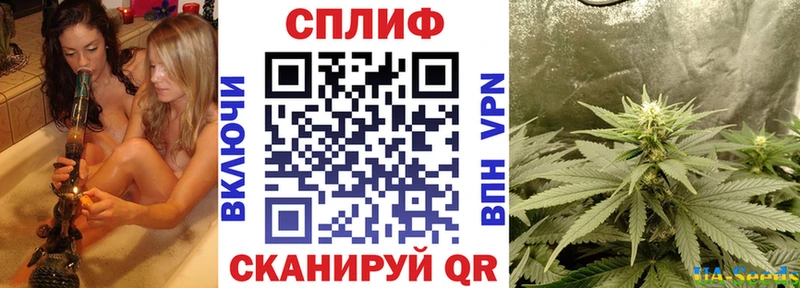 Шишки марихуана планчик  цена наркотик  Бирюч 